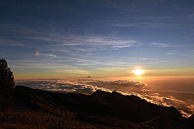 国外美女主播单手1级击杀《艾尔登法环》女武神